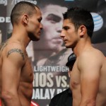 alvarado herrera weigh-in