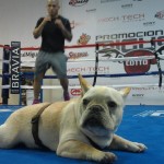 cotto training camp2