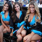 tr knockouts2