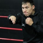 provodnikov workout