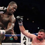 wilder destroys firtha