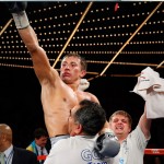 golovkin stevens results5