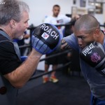 cotto roach mitts