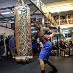 jleon love heavy bag