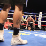 Matthysse v Ortiz (5)