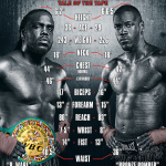 stiverne vs wilder tale of the tape