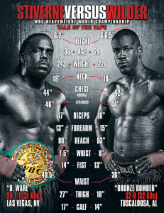 stiverne vs wilder tale of the tape