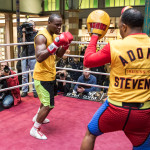 adonis stevenson workout (3)