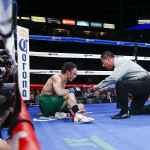 Julio Cesar Chavez Jr vs Andrzej Fonfara