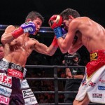 mcdonell vs kameda3