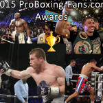 2015 boxing awards
