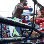 Ortiz vs Berto