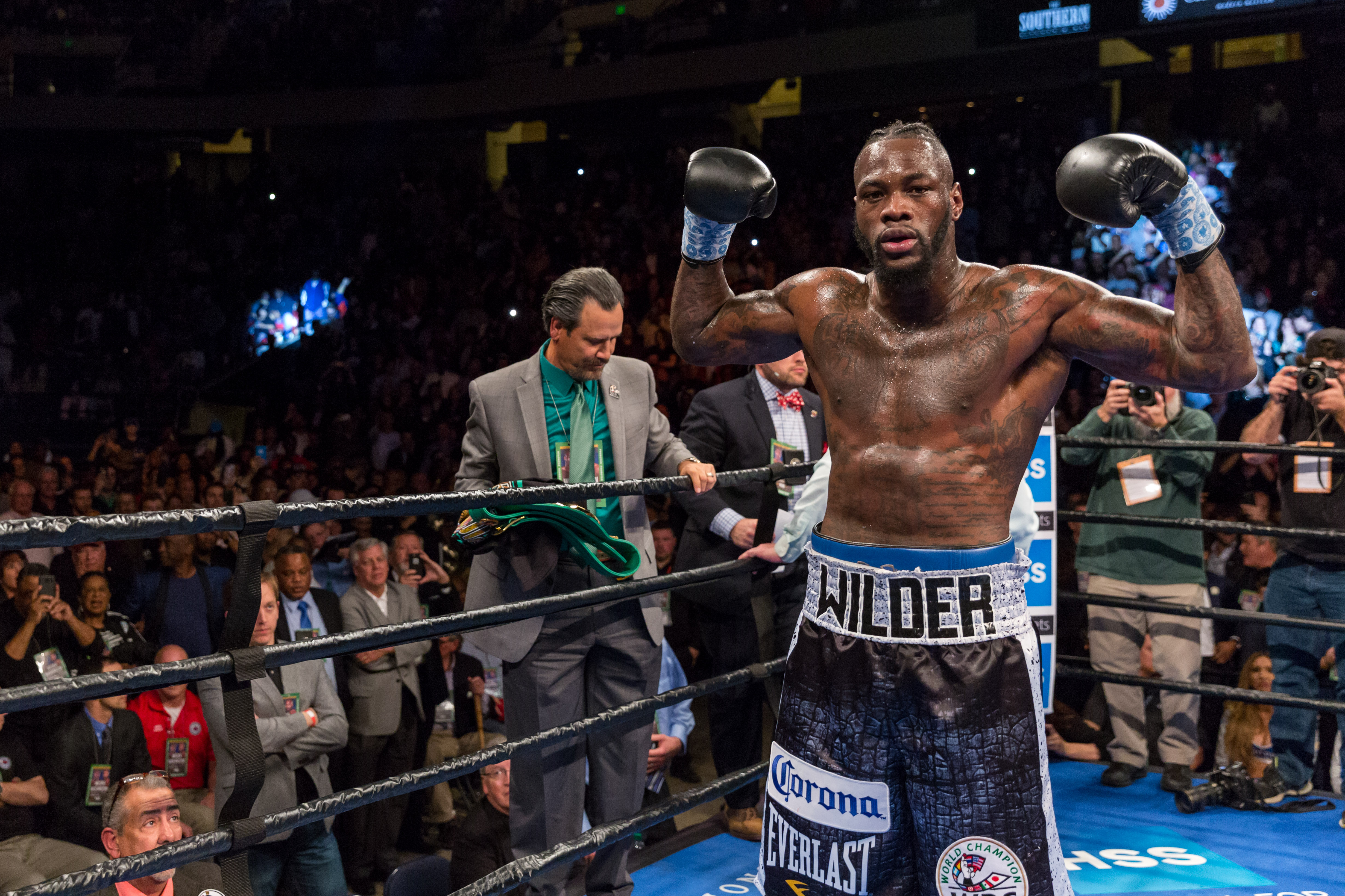 wilder wins - ProBoxing-Fans.com