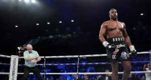 Daniel Dubois eased to a second round knockout of Kyotaro Fujimoto Credit: Getty Images