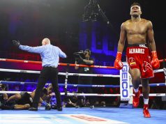 Alvarez puts Seals to sleep with a stunning KO victory.