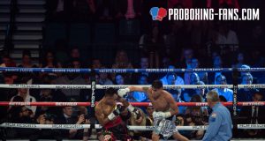 Navarrete put on a dominant display against Santisima at the MGM Grand in February Credit: Pro Boxing Fans