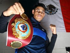WBO Super Bantamweight champion Emanuel Navarrete has called for a fight with Naoya Inoue Credit: Mikey Williams/Top Rank