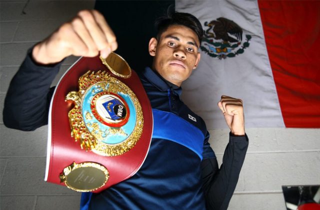WBO Super Bantamweight champion Emanuel Navarrete has called for a fight with Naoya Inoue Credit: Mikey Williams/Top Rank
