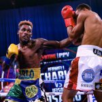 Charlo now holds three of the four world titles at 154lbs Photo Credit: Amanda Westcott / Showtime
