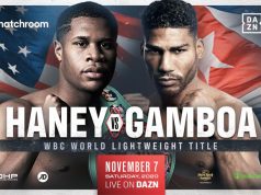 Devin Haney makes a second defence of his WBC Lightweight world title against Yuriorkis Gamboa on November 7 Photo Credit: Matchroom Boxing
