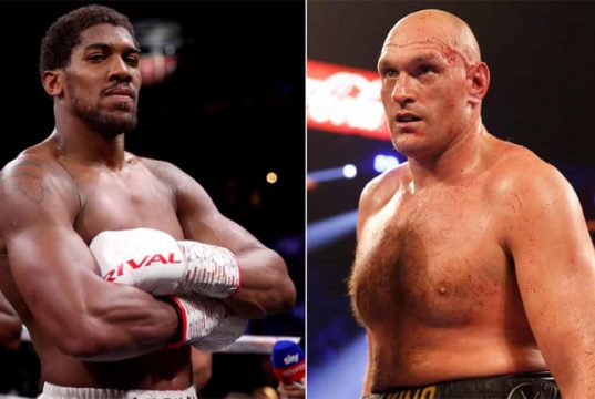 Joshua has pinpointed the main differences between himself and Fury (Photo Credit: PA Images/Reuters)