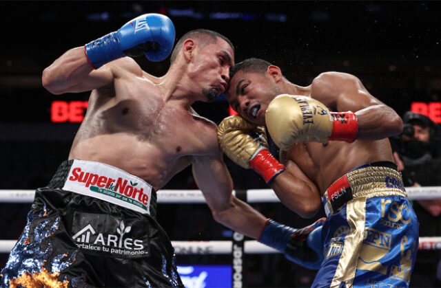 Juan Estrada avenged his 2012 defeat to Roman 'Chocolatito' Gonzalez with a split decision win in arguably the fight of the year so far in Dallas on Saturday Photo Credit: Estrada became unified WBC and WBA Super Flyweight champion Photo Credit: Ed Mulholland/Matchroom