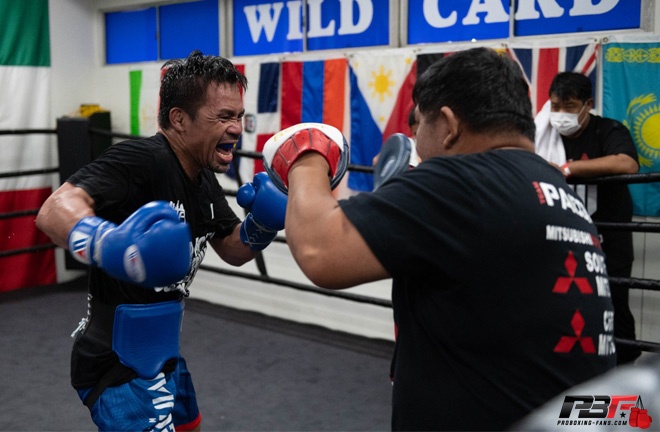 Pacquiao has been training back at the Wild Card Gym Photo Credit: Pro Boxing Fans