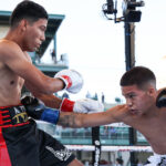 Jesse Rodriguez halted Jose Alejandro Burgos in four Photo Credit: Ed Mulholland/Matchroom
