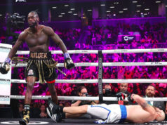 Deontay Wilder re-announced himself to the heavyweight division with a stunning first round knockout win over Robert Helenius.