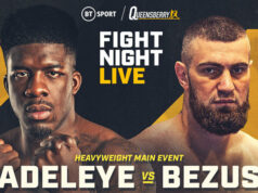 David Adeleye faces Dmytro Bezus for the vacant WBO European heavyweight crown at York Hall on Friday, live on BT Sport Photo Credit: Queensberry Promotions