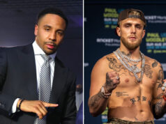 Andre Ward has claimed he would be open to a fight against Jake Paul Photo Credit: Mikey Williams/Top Rank Inc via Getty Images/Amanda Westcott/SHOWTIME