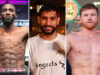 Amir Khan believes Terence Crawford should not challenge Canelo Alvarez at 168lbs Photo Credit: Mikey Williams (Top Rank via Getty Images)/Lawrence Lustig/ BOXXER/Ed Mulholland/Matchroom