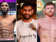 Amir Khan believes Terence Crawford should not challenge Canelo Alvarez at 168lbs Photo Credit: Mikey Williams (Top Rank via Getty Images)/Lawrence Lustig/ BOXXER/Ed Mulholland/Matchroom
