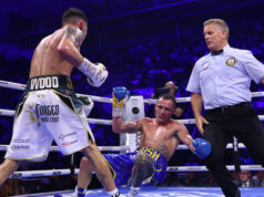 Leigh Wood dramatically stopped Josh Warrington in the seventh round in Sheffield on Saturday Photo Credit: Mark Robinson/Matchroom Boxing