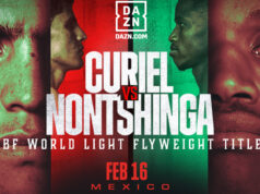 Curiel will have to topple Nontshinga once again to retain his world title. (Matchroom Boxing)