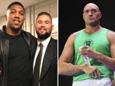 Tony Bellew remains keen to see Tyson Fury fight Anthony Joshua Photo Credit: Mikey Williams/Top Rank (Fury)