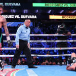Rodriguez destroyed Guevara in November Photo Credit: Mark Robinson Matchroom Boxing
