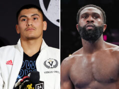 Vergil Ortiz Jr was called out by Jaron Ennis after his victory over Uisma Lima Photo Credit: Cris Esqueda/Golden Boy/Emma Brawley/Matchroom Boxing