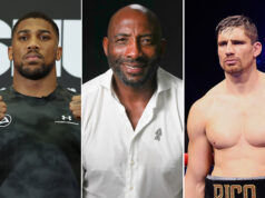 Johnny Nelson has predicted Anthony Joshua vs Rico Verhoeven. Photo Credit: Matchroom Boxing/ Mark Robinson/ Hackney Gazette