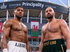 Fury vs Joshua will likely take place on December 11 in Cardiff